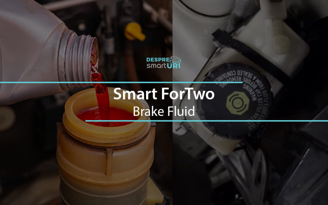 Smart ForTwo Brake Fluid